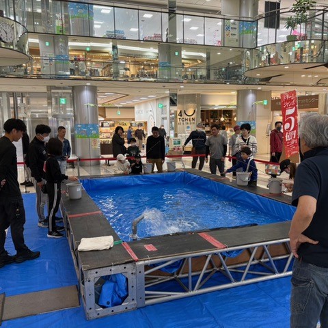【設営事例】豊岡　 ニジマス釣り大会